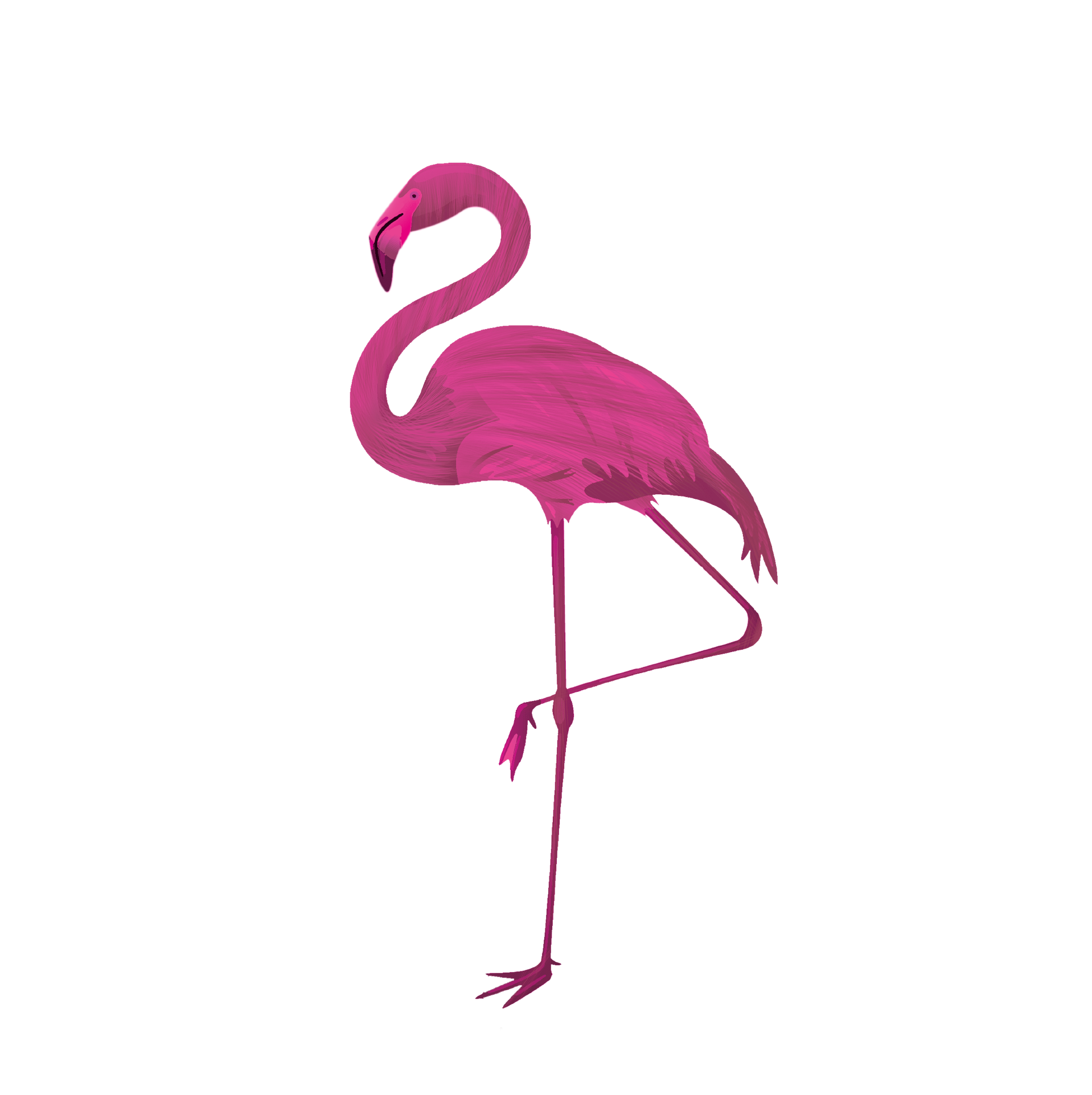 Jardin-flamingo.com