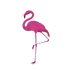 Jardin-flamingo.com